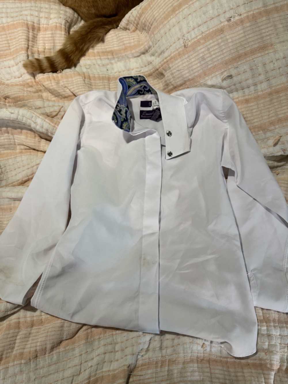 Essex Classics Show Shirt